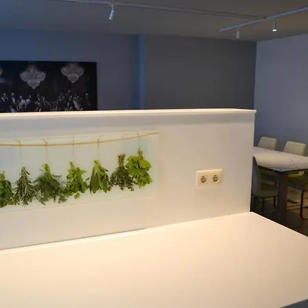 Infiniti Apartment *